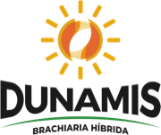 Dunamis Brachiaria Híbrida