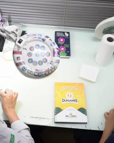 Laboratório da Milagro analisando a semente de Dunamis