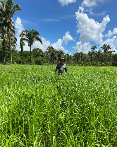 Produtor no meio do pasto alto de Dunamis