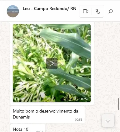 Print do WhatsApp: cliente de Campo Redondo, RN, diz que o desenvolvimento da Dunamis está muito bom